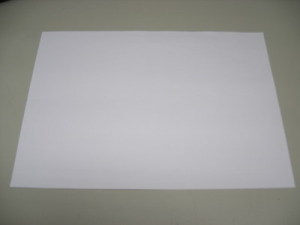 High Quality A4 Copy Paper / Wooden Pulp A4 Copy Paper / Wooden Pulp Paper 75GSM A4
