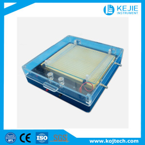 ISO Electric Focusing Electrophoresis Cell/Ief Electrophoresis/Horizontal Electrophoresis
