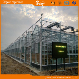 High Output F-Clean Film Greenhouse